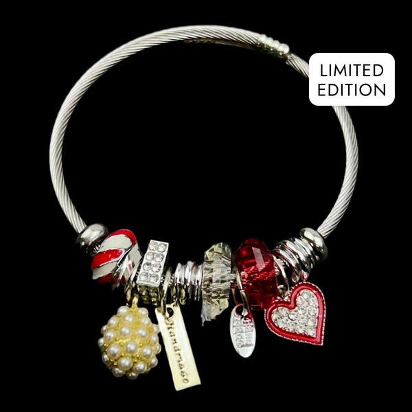 RICH GIFTS FOR HER CHARM BRACELET NO.7