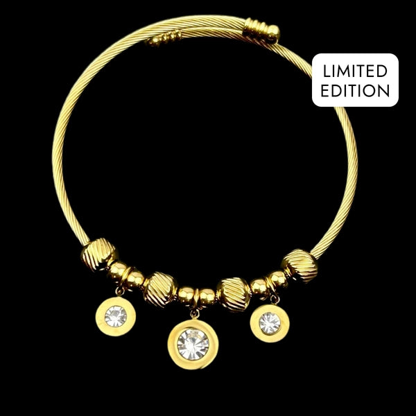 RICH GIFTS FOR HER CHARM BRACELET NO.6